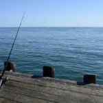 Angeln an der Ostsee