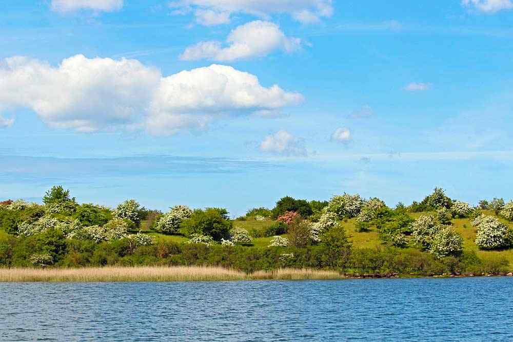 Die Landschaft am Bodden