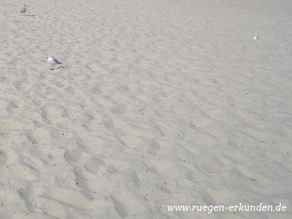 FKK Sandstrand auf Rügen