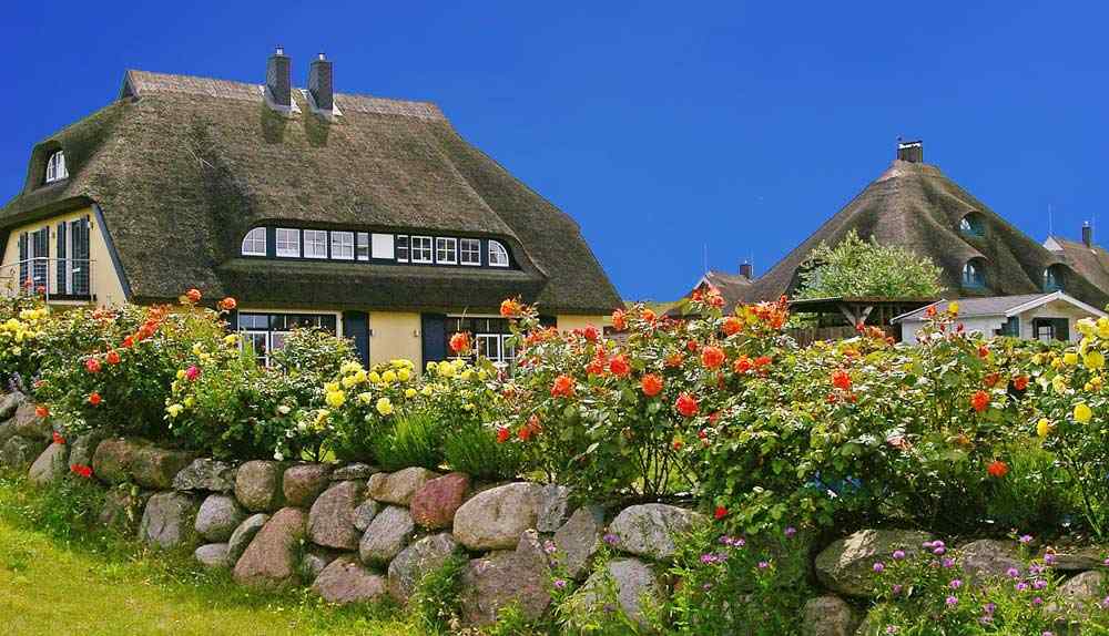 Reetdachhäuser auf der Insel Rügen