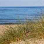 Strand Babe