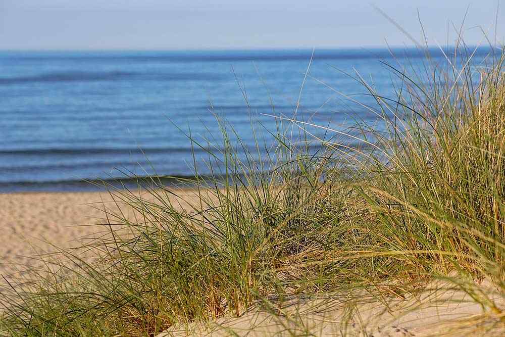 Strand Babe